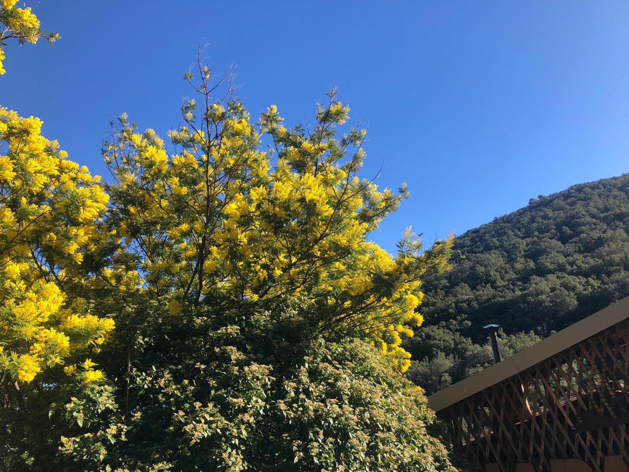 El Refugio Villa Reynes ภายนอก รูปภาพ